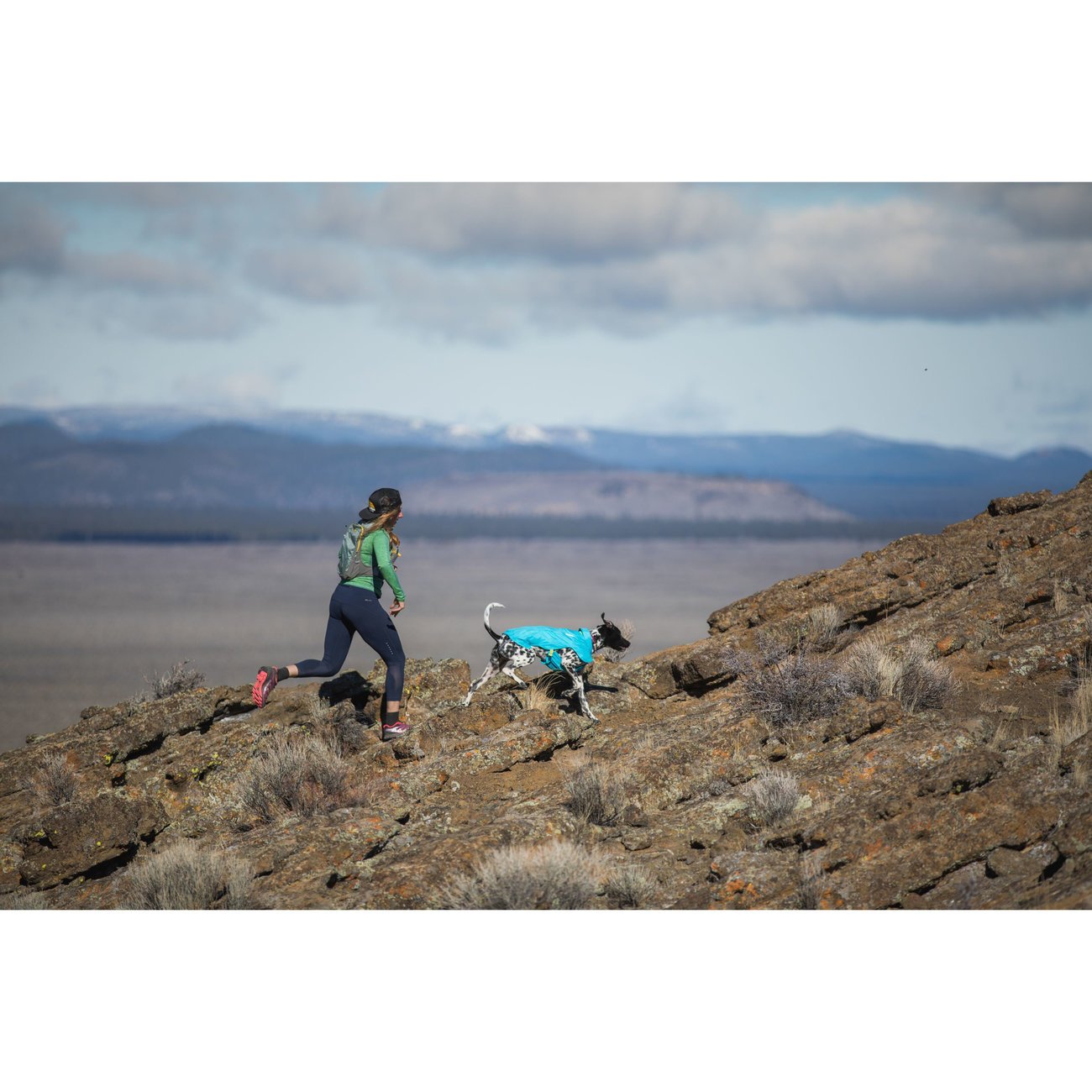 Ruffwear Wind Sprinter™ Windjacke für Hunde Bild 3