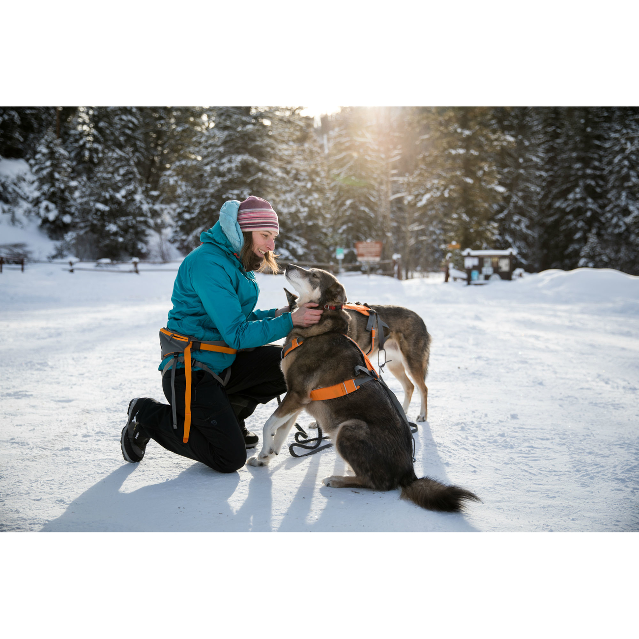 Ruffwear Omnijore™ Joring System Zuggeschirr für Hunde Bild 13