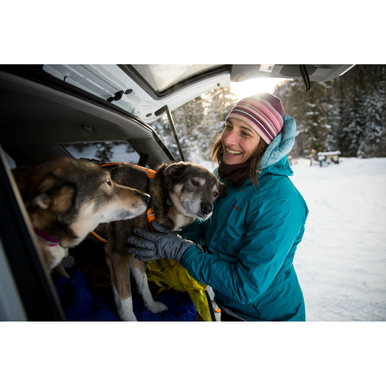 Ruffwear Omnijore™ Joring System Zuggeschirr für Hunde Bild 9
