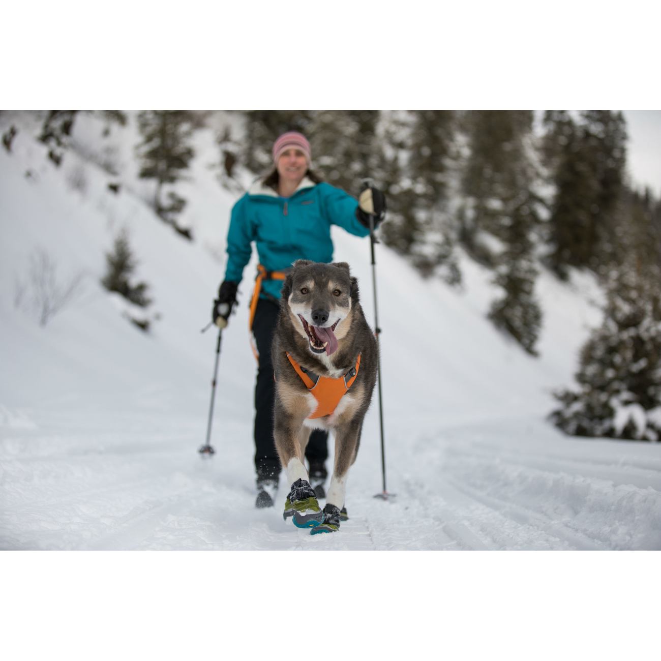 Ruffwear Omnijore™ Joring System Zuggeschirr für Hunde Bild 6