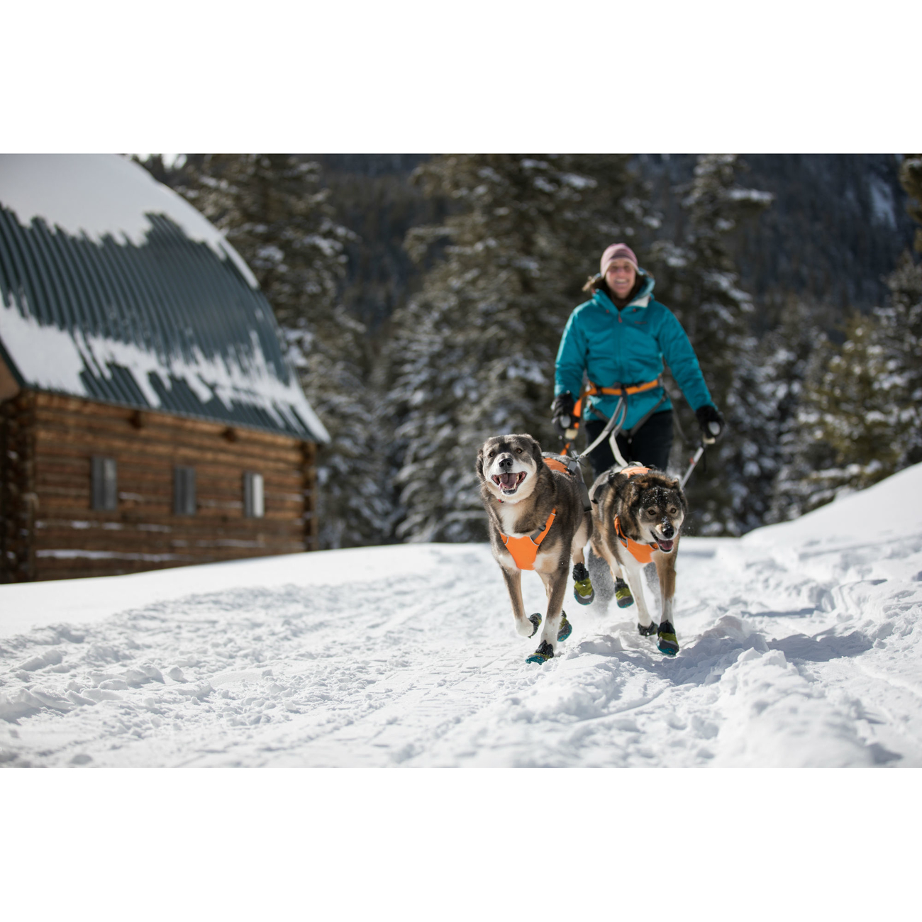 Ruffwear Omnijore™ Joring System Zuggeschirr für Hunde Bild 2