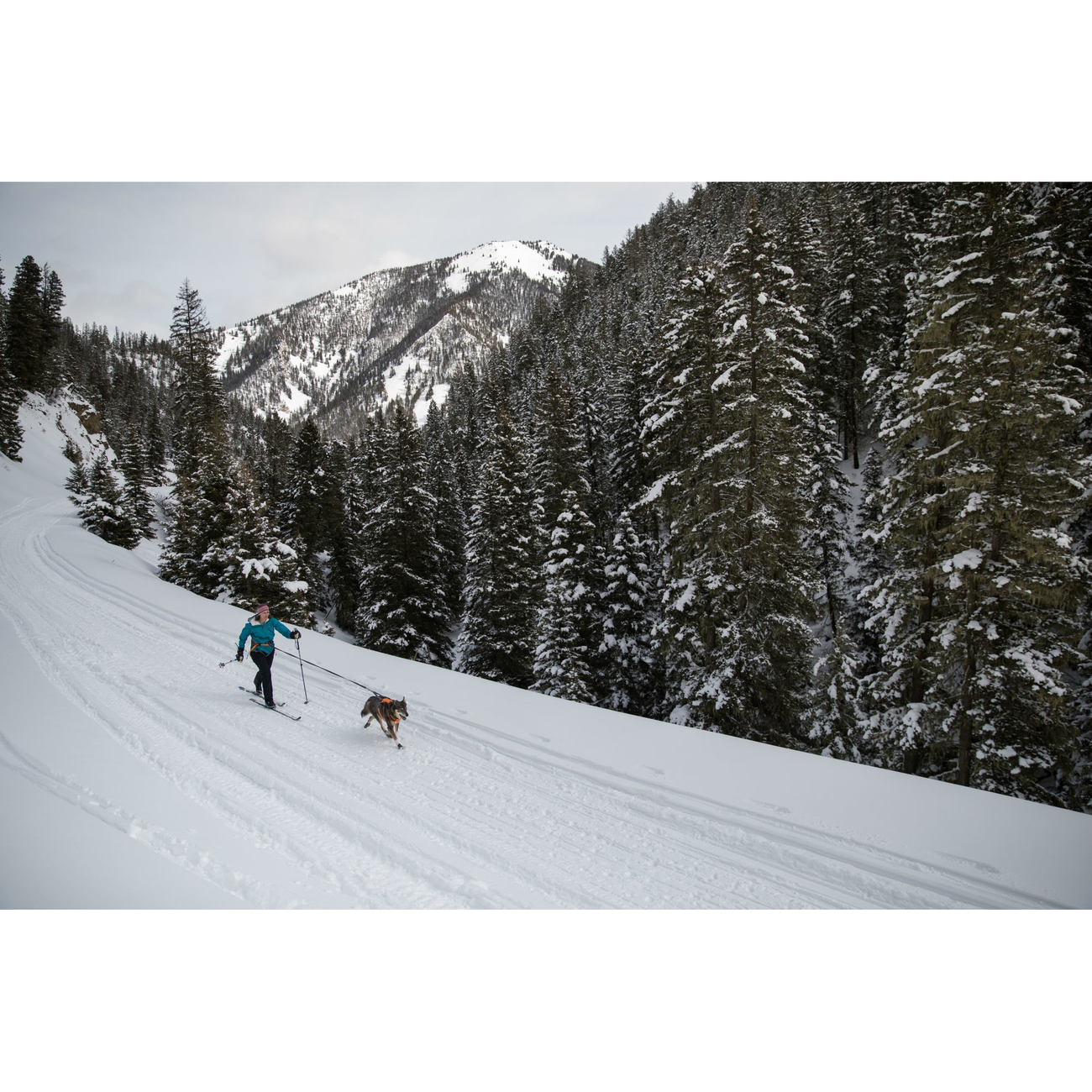 Ruffwear Omnijore™ Joring System Zuggeschirr für Hunde Bild 4