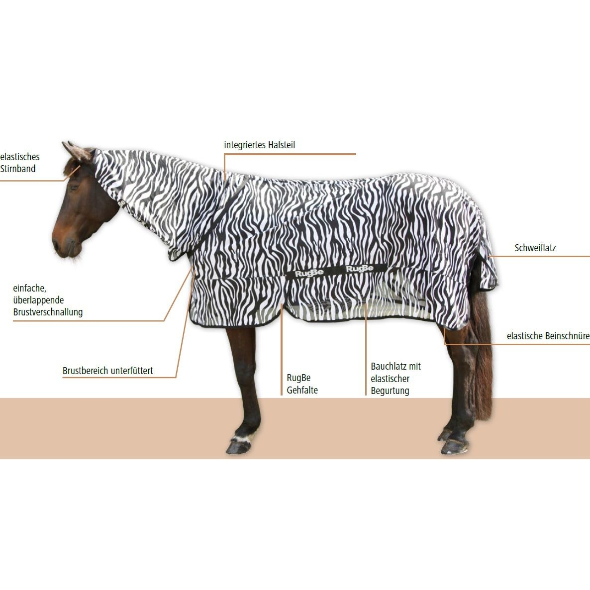 RugBe Ekzemerdecke Zebra Bild 4