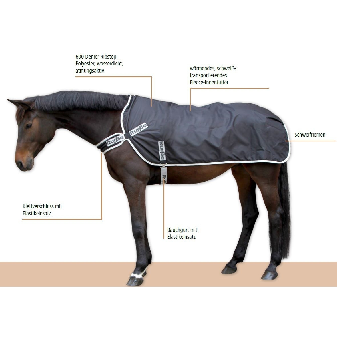 RugBe Führanlagendecke Bild 6