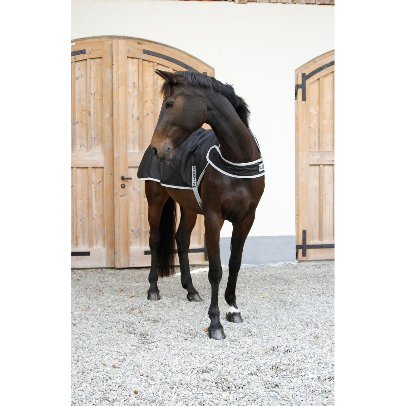 RugBe Führanlagendecke Bild 2