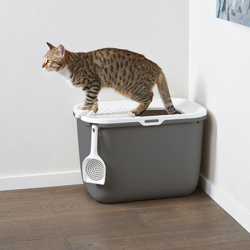 Savic Katzentoilette Hop In mit Einstieg oben von Savic günstig bestellen tiierisch.de