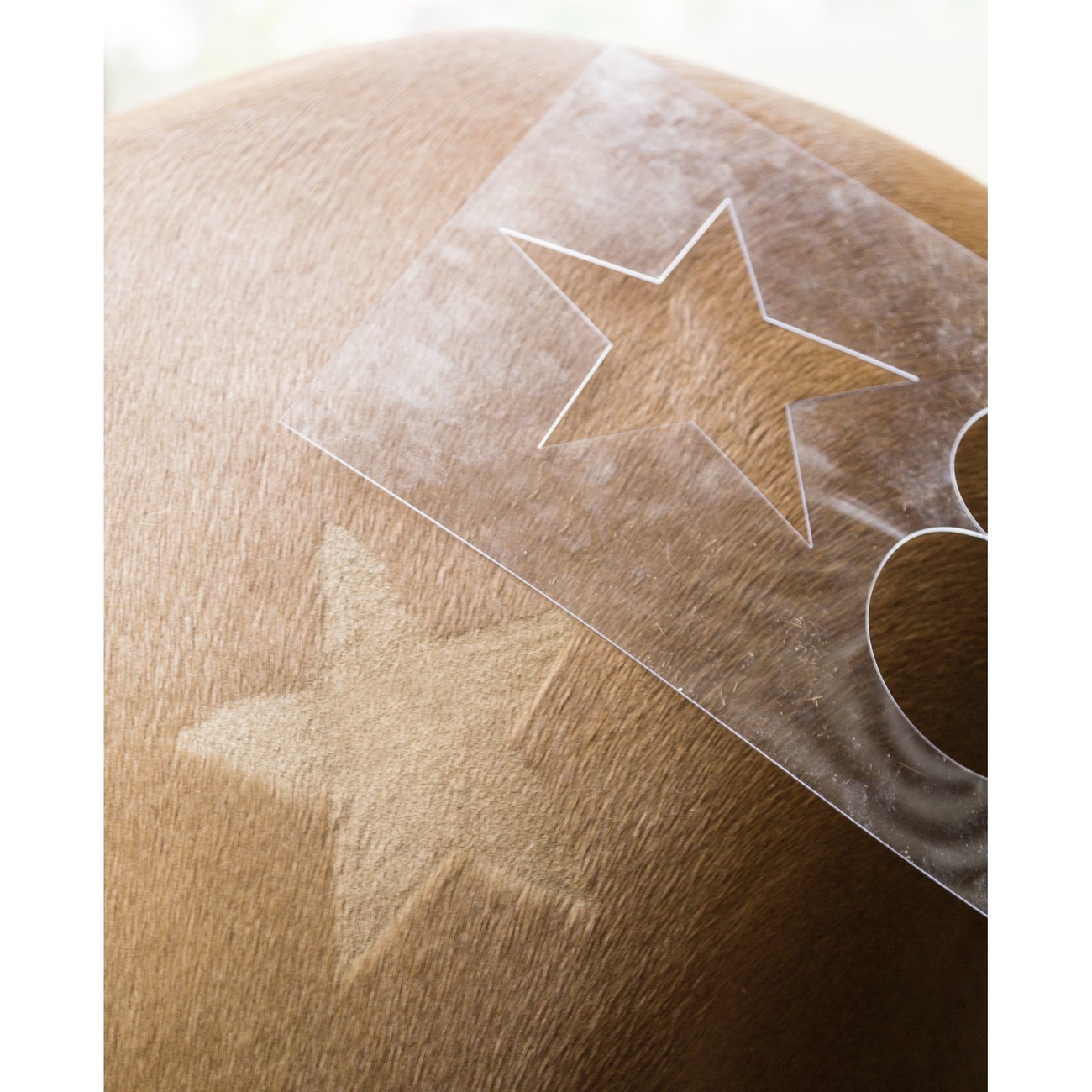 Kerbl Scherschablone für Pferde 3er Set Bild 2