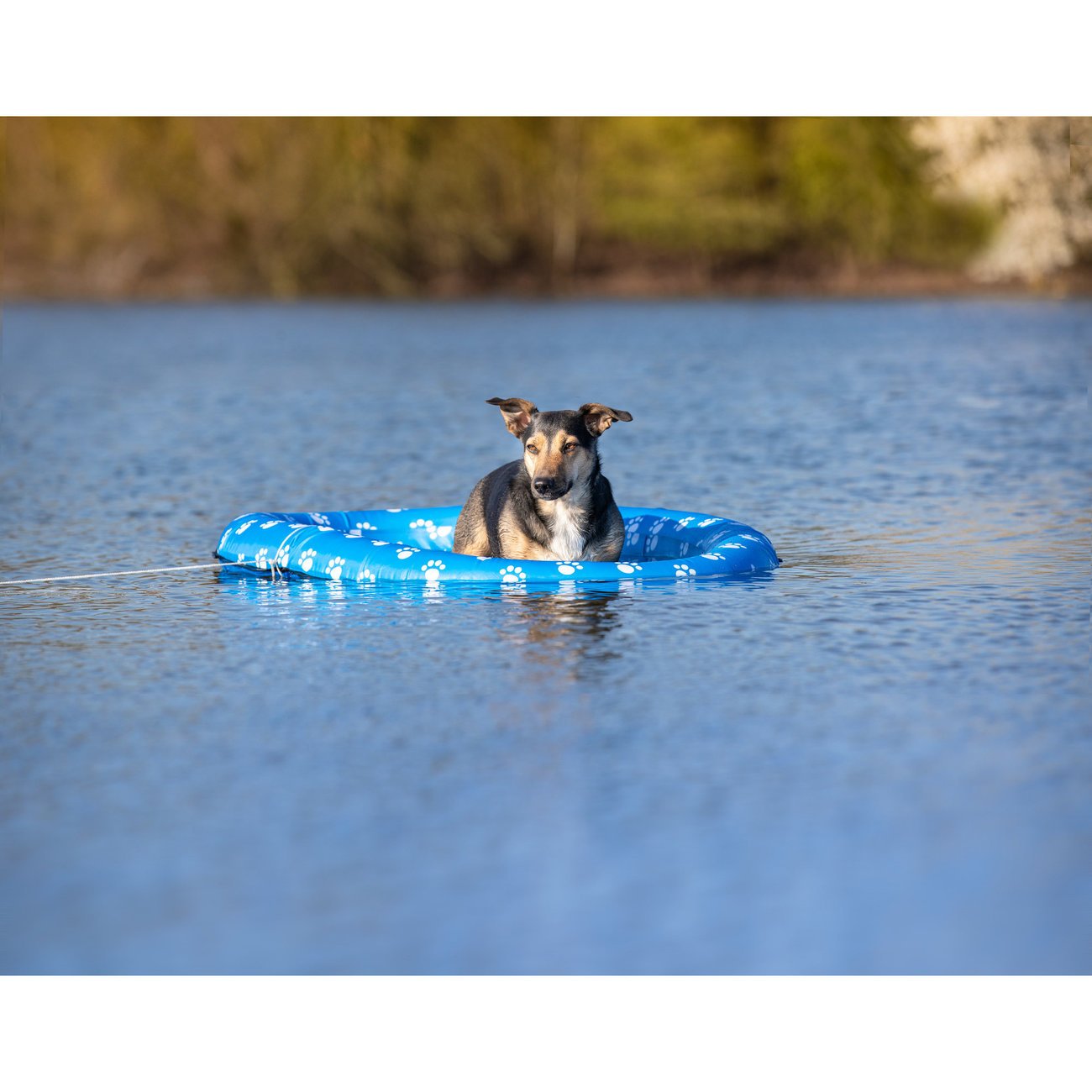 Schlauchboot für Hunde Bild 2