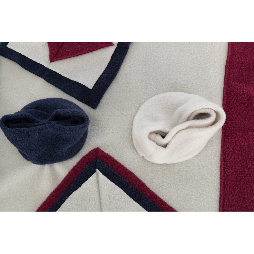 Dog Activity Strategiespiel Schnüffelteppich für Hunde Bild 13