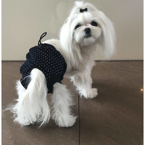 Schutzhose für läufige Hündin, extra lang Bild 2