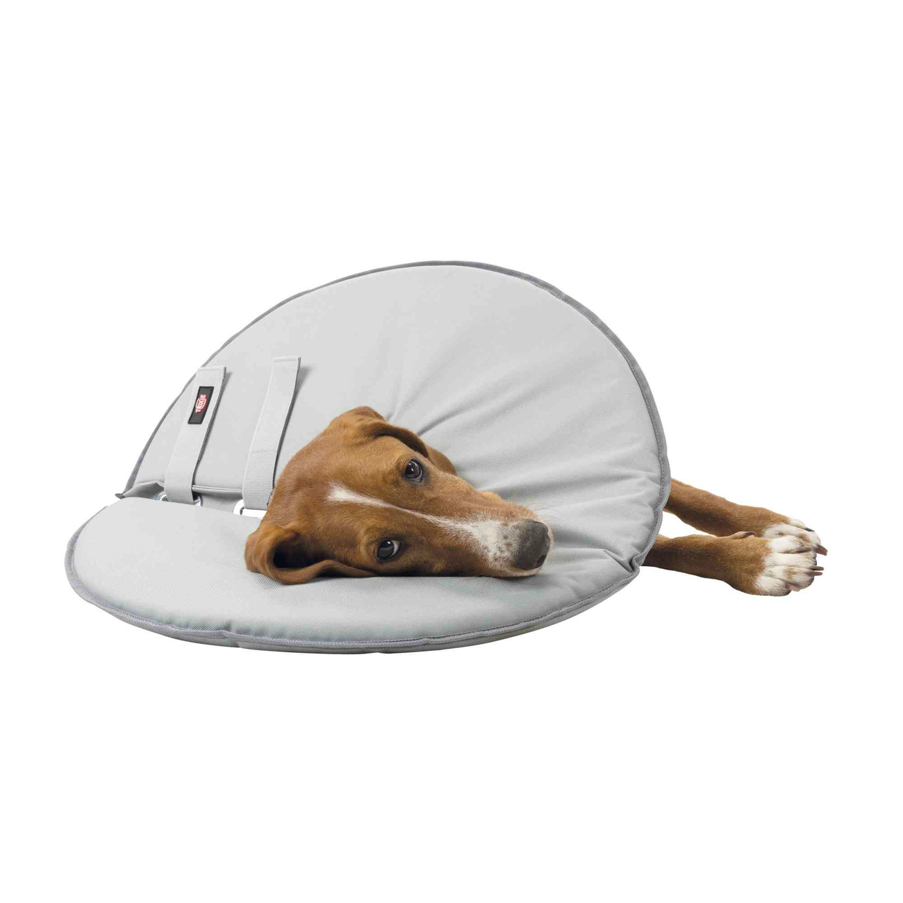 Schutzkragen für Haustiere Bild 5