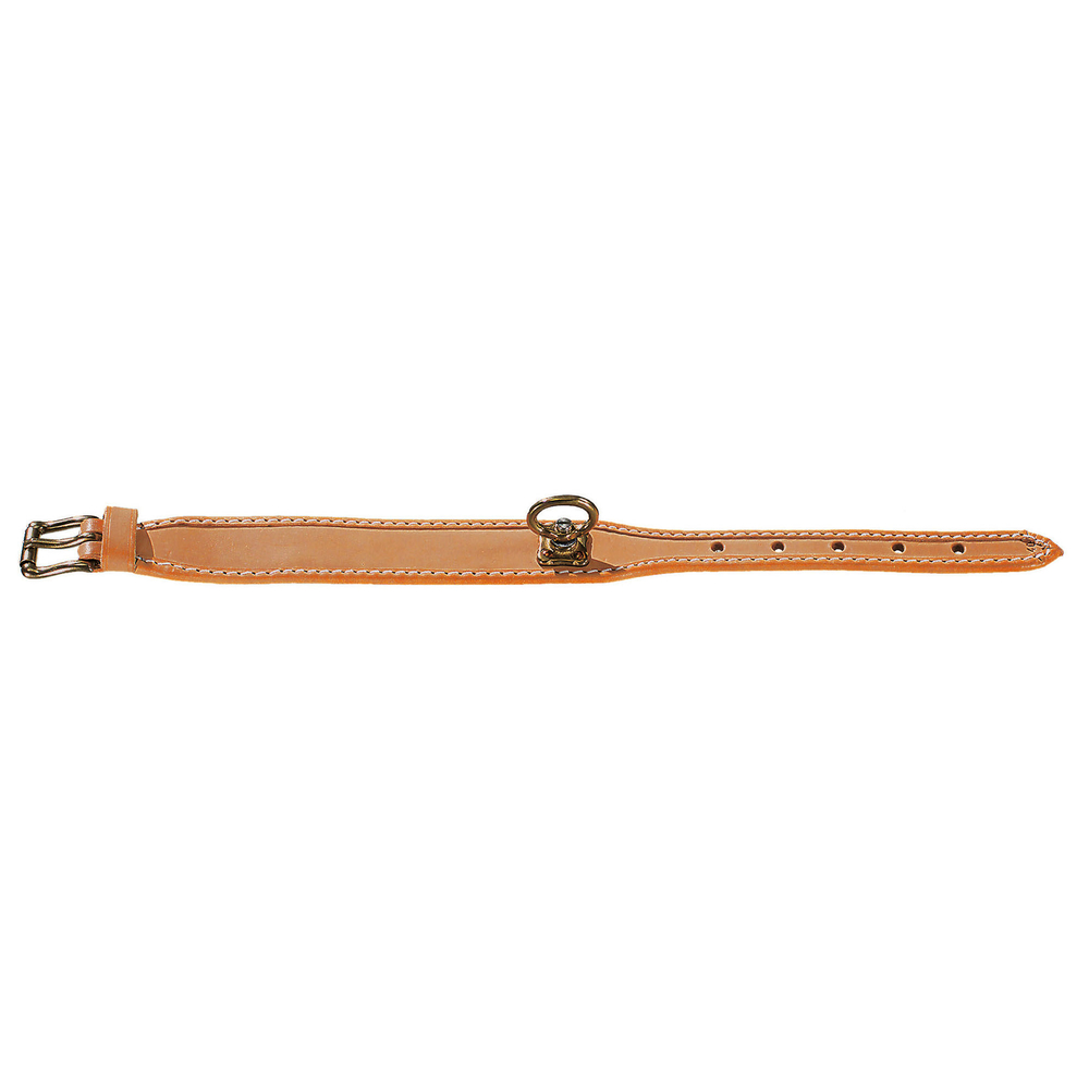Schweißhalsung Leder Schweißhalsband Bild 1