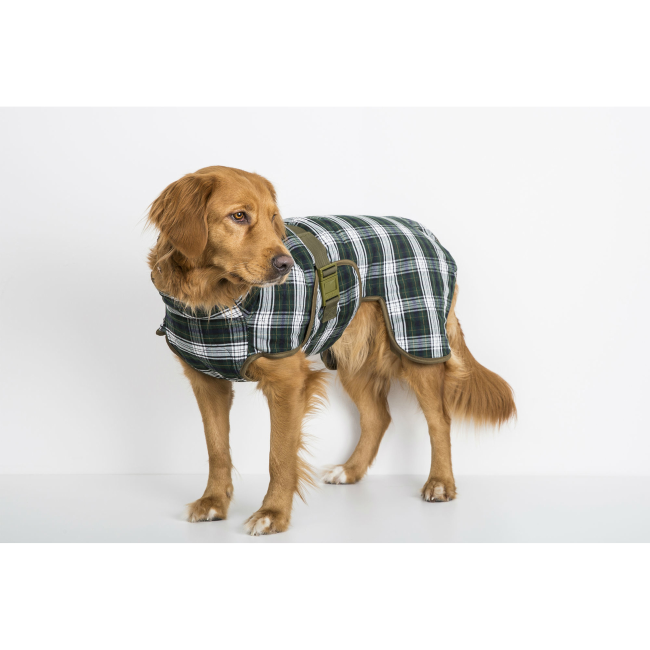 SICCARO Hundebademantel WetDog Splash Bild 6