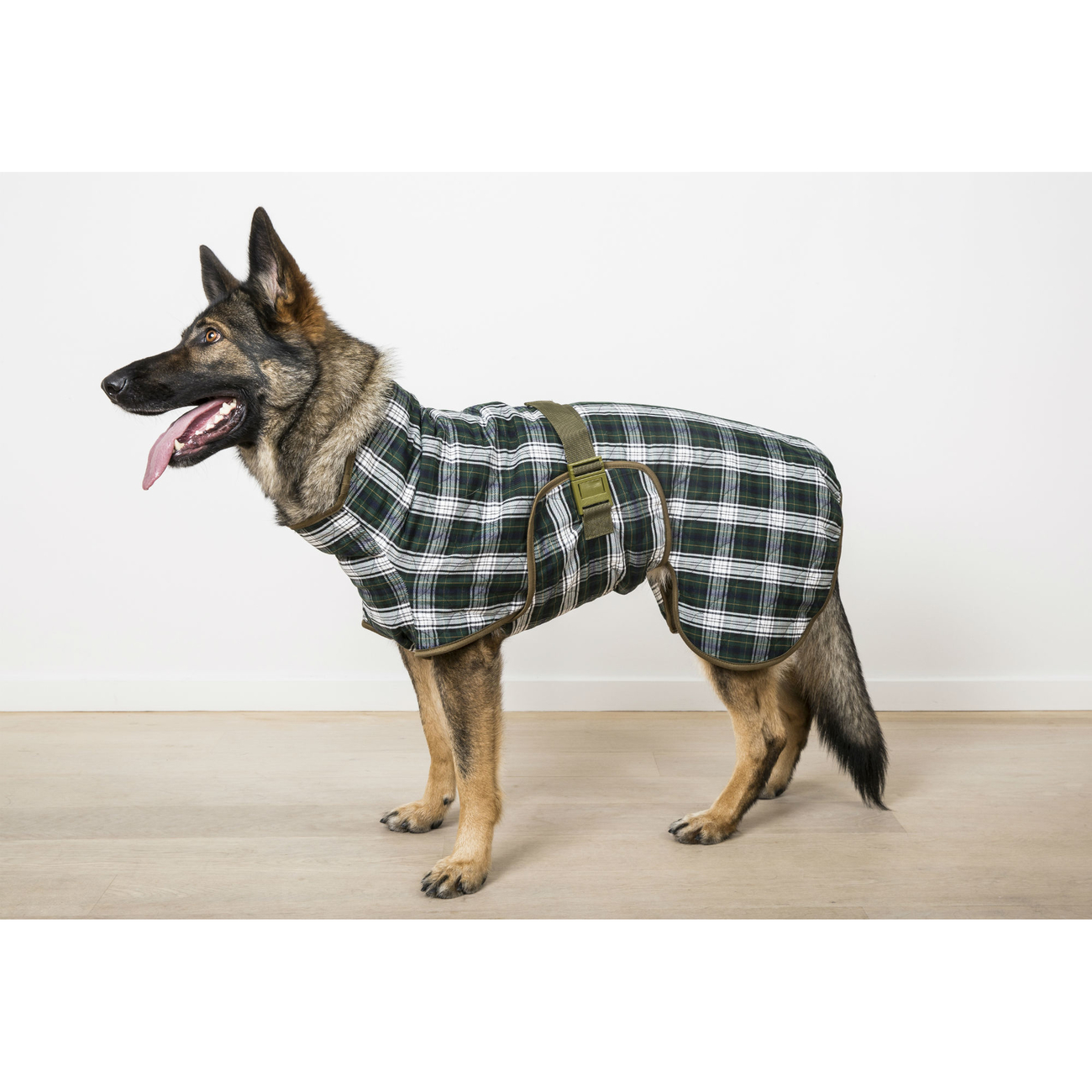 SICCARO Hundebademantel WetDog Splash Bild 2