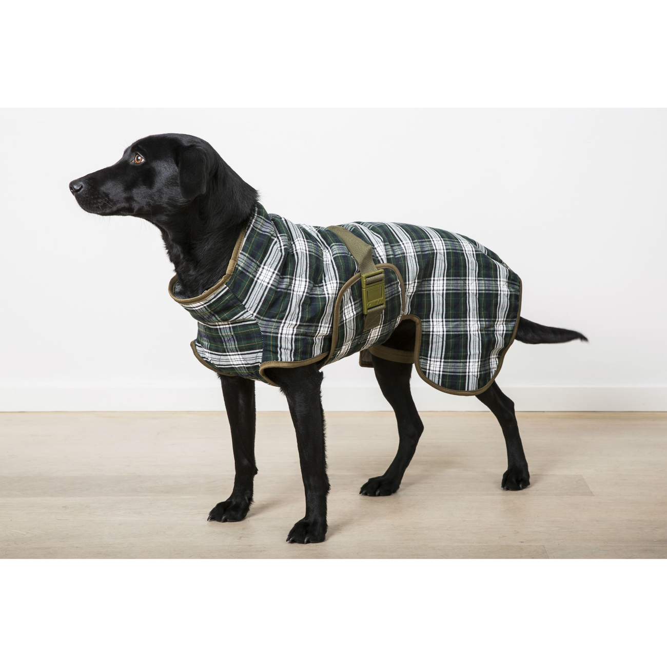 SICCARO Hundebademantel WetDog Splash Bild 7