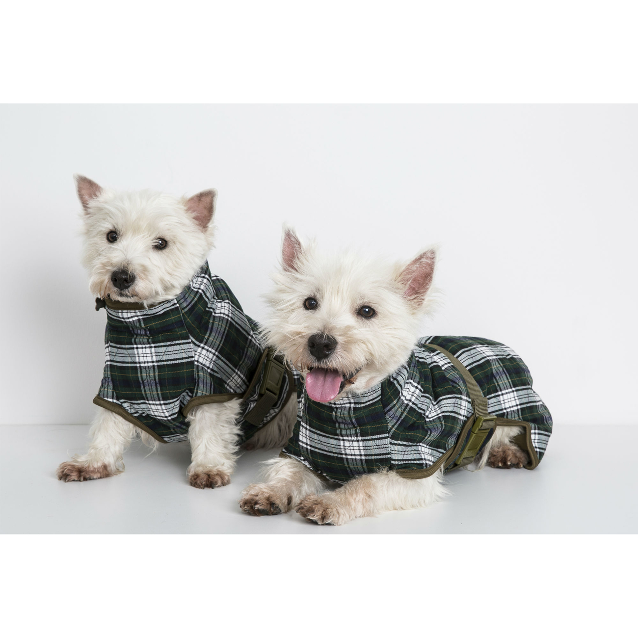 SICCARO Hundebademantel WetDog Splash Bild 8