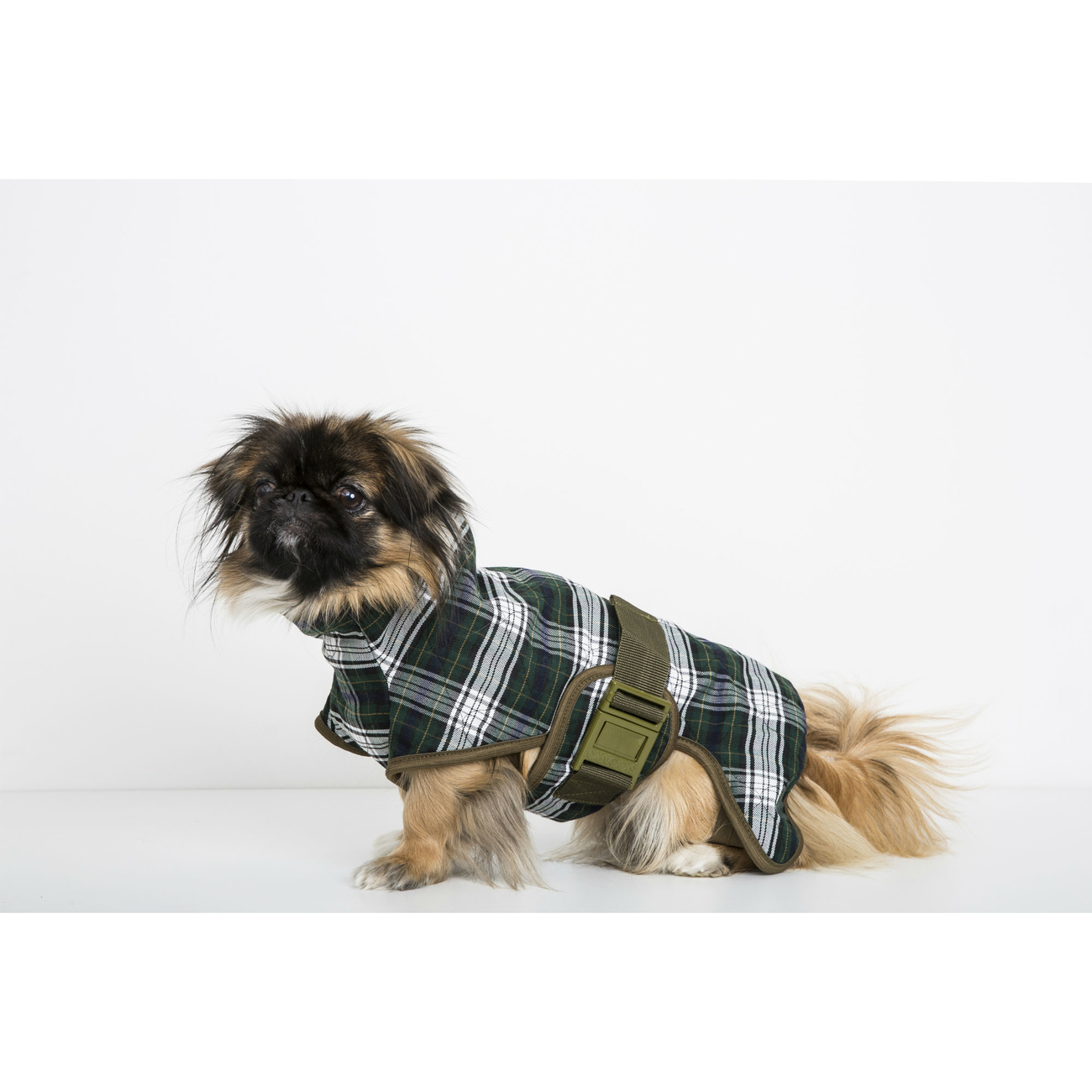 SICCARO Hundebademantel WetDog Splash Bild 11