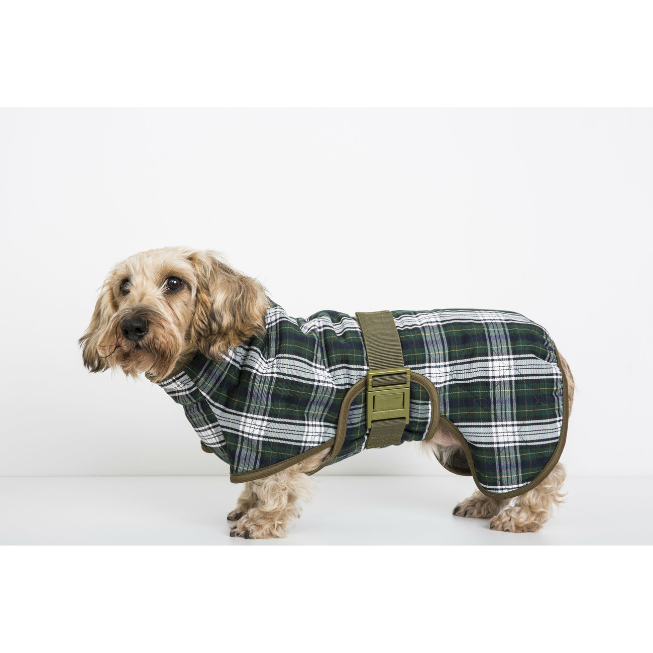 SICCARO Hundebademantel WetDog Splash Bild 12