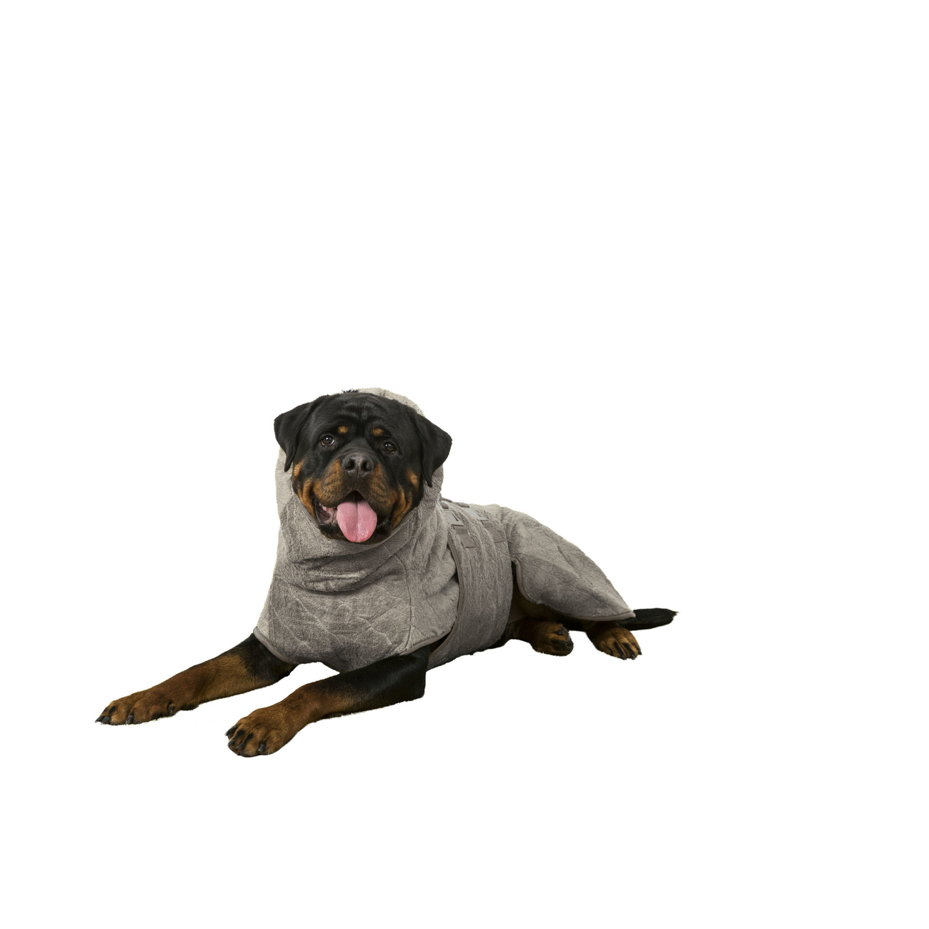 SICCARO Hundemantel Bademantel WetDog SupremePro Bild 11