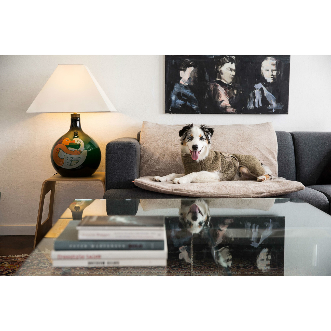 SICCARO Hundemantel Bademantel WetDog SupremePro Bild 15