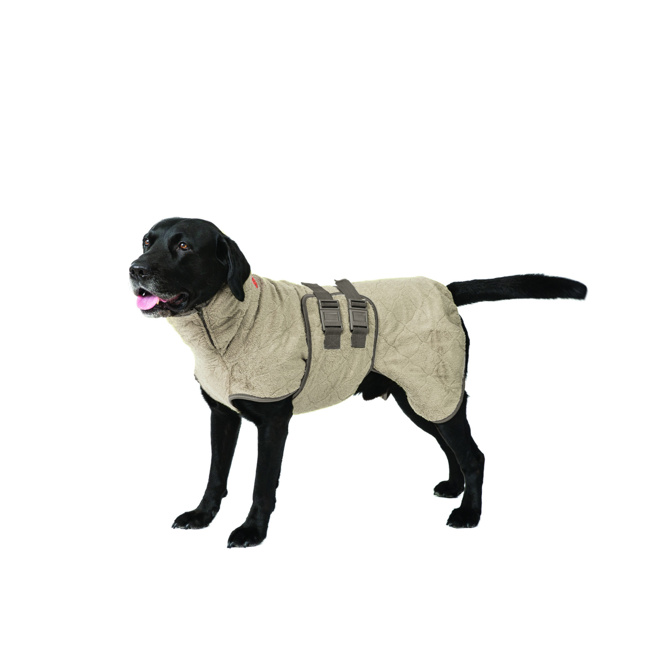 SICCARO Hundemantel Bademantel WetDog SupremePro Bild 5