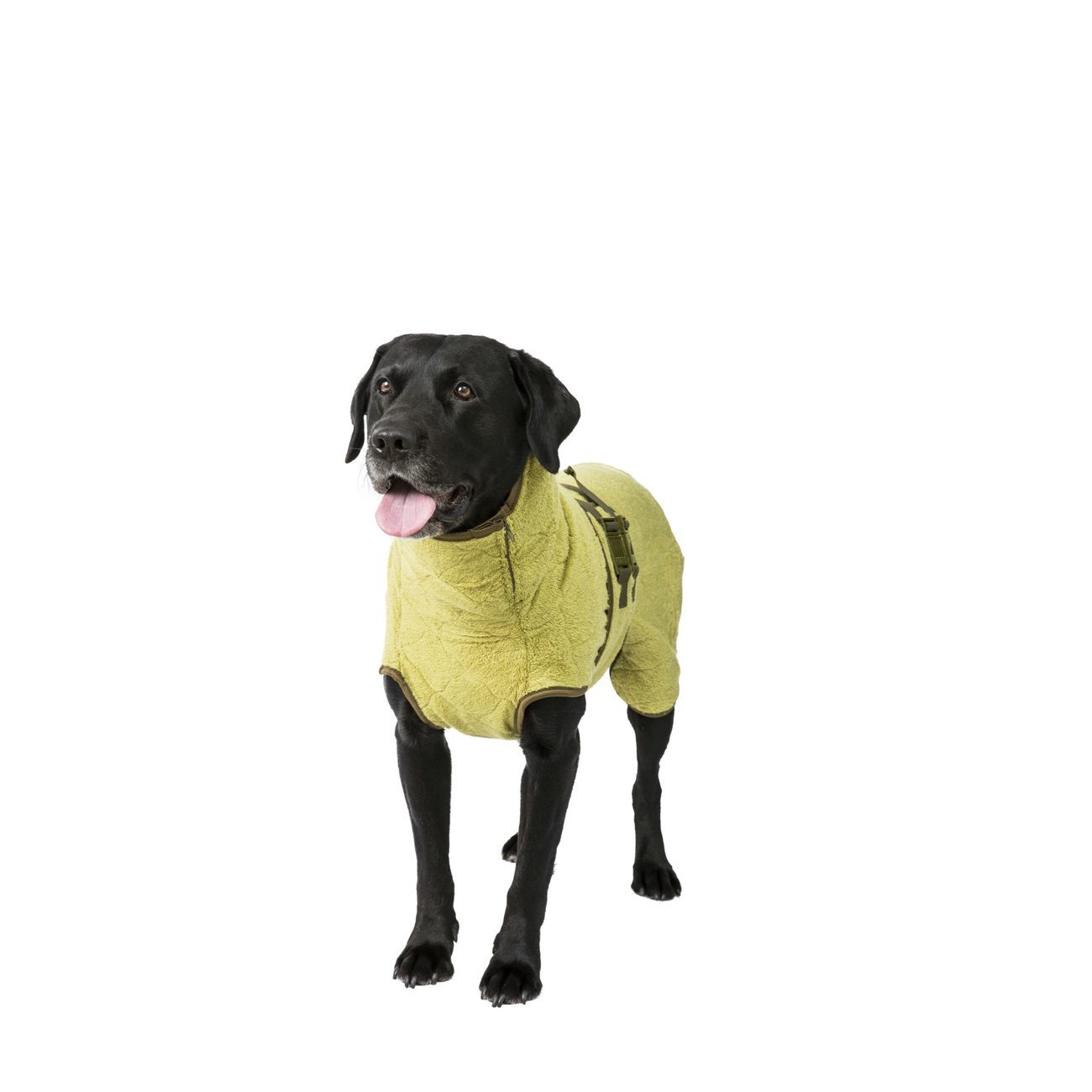 SICCARO Hundemantel Bademantel WetDog SupremePro Bild 23