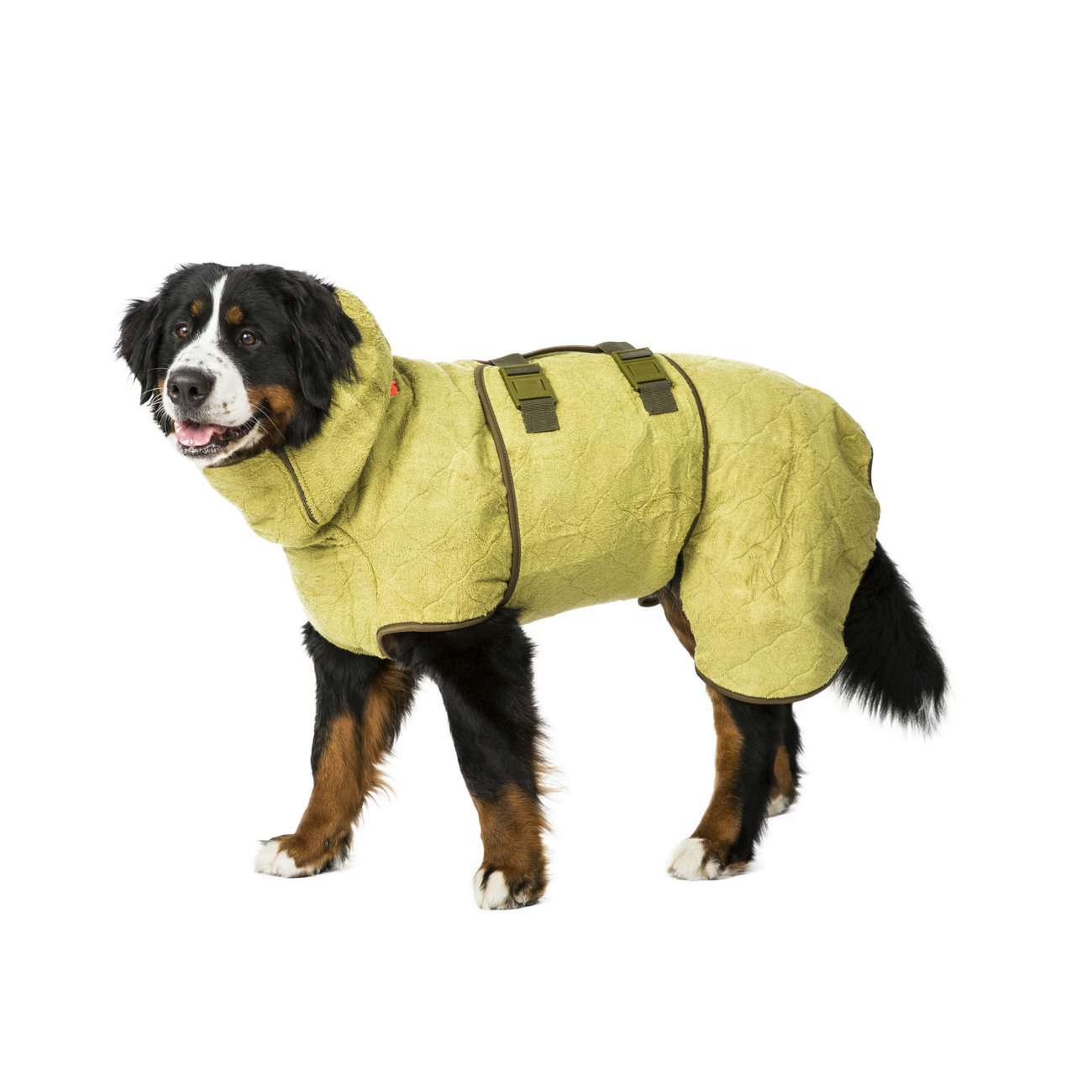 SICCARO Hundemantel Bademantel WetDog SupremePro Bild 4