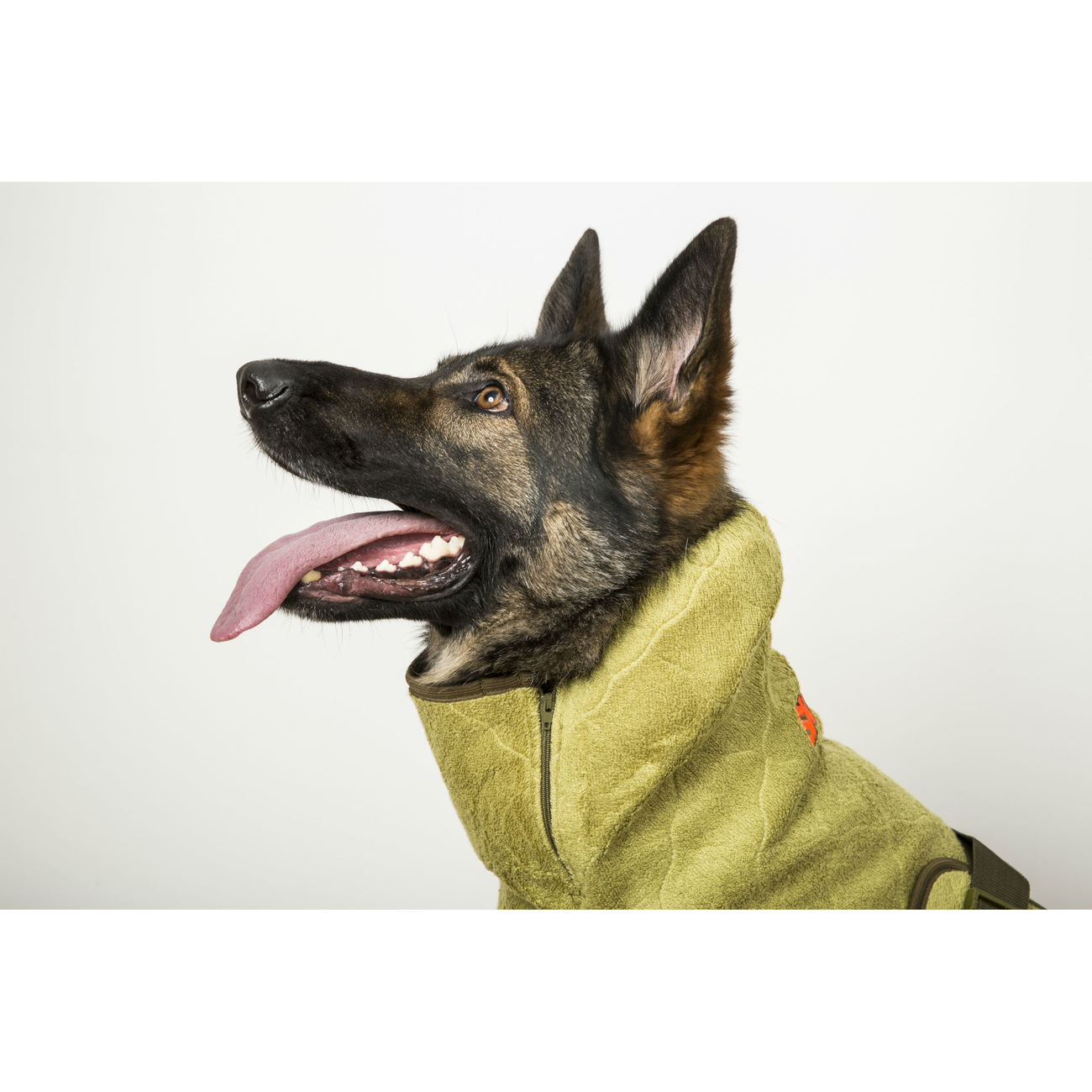 SICCARO Hundemantel Bademantel WetDog SupremePro Bild 35