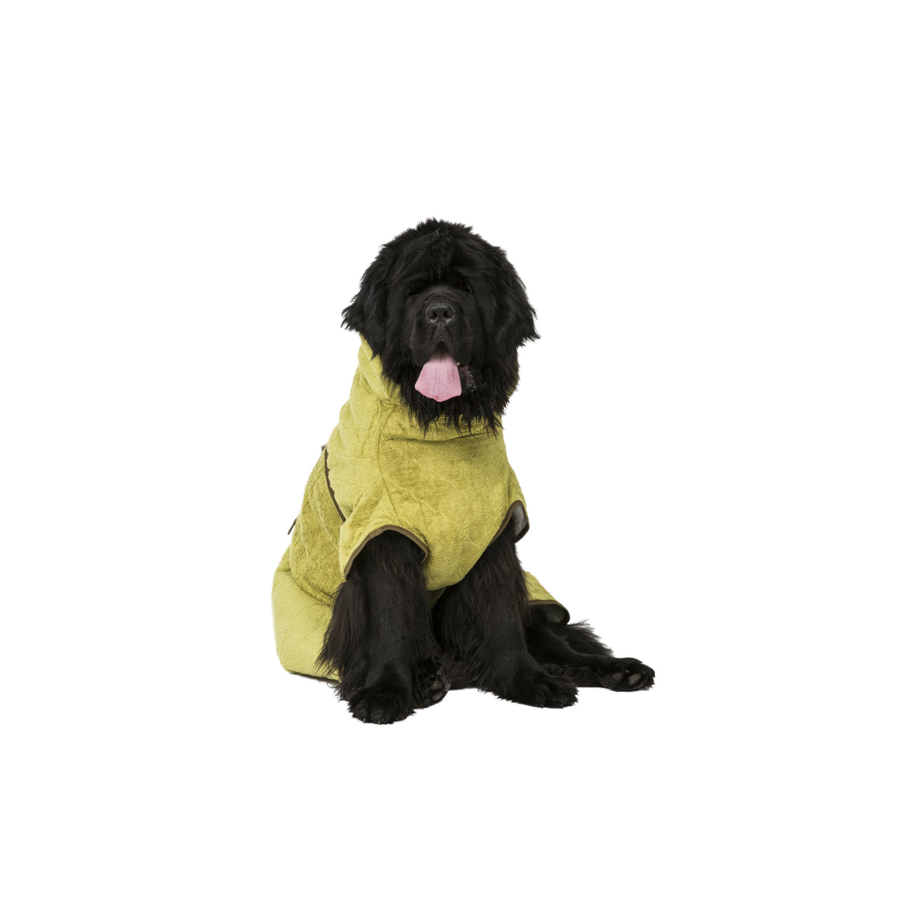 SICCARO Hundemantel Bademantel WetDog SupremePro Bild 36