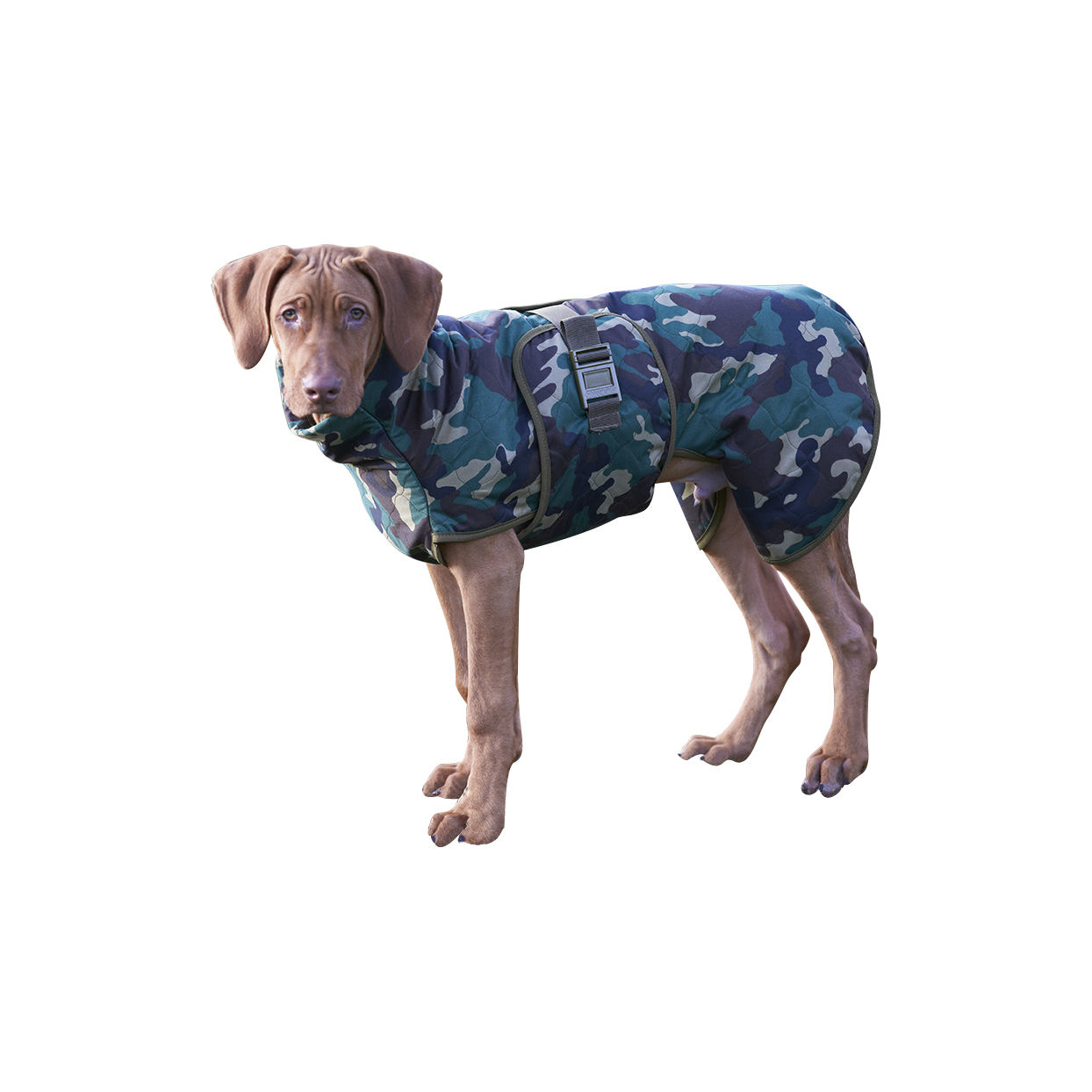 SICCARO Hundemantel WetDog Spirit Bild 5