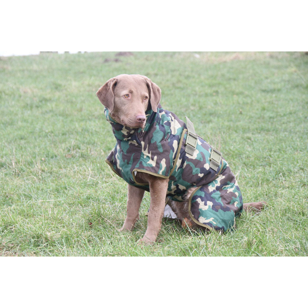 SICCARO Hundemantel WetDog Spirit Bild 10