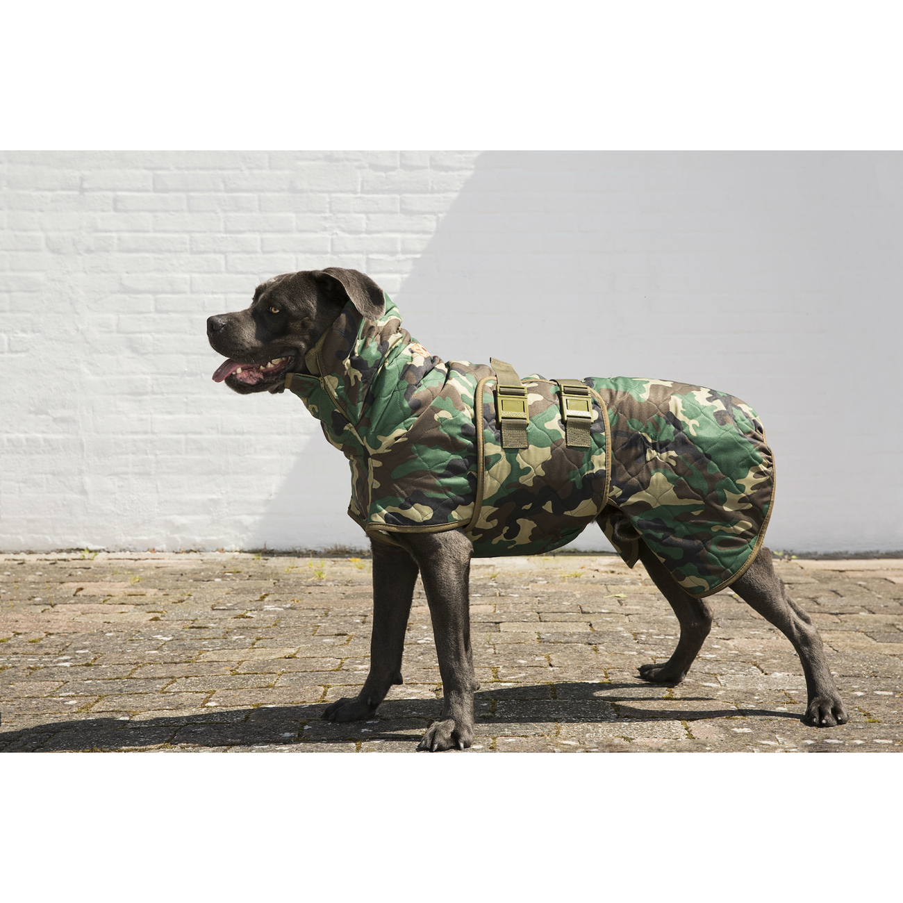 SICCARO Hundemantel WetDog Spirit Bild 2