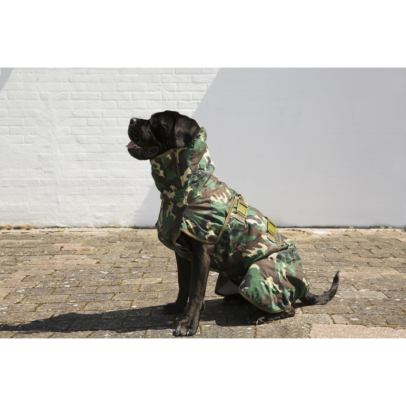 SICCARO Hundemantel WetDog Spirit Bild 14