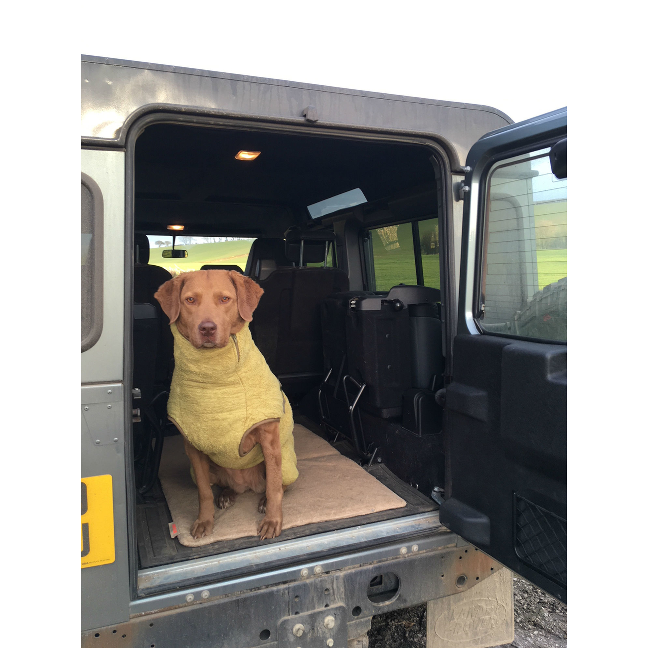SICCARO Hundematte FlexDogMat Bild 13