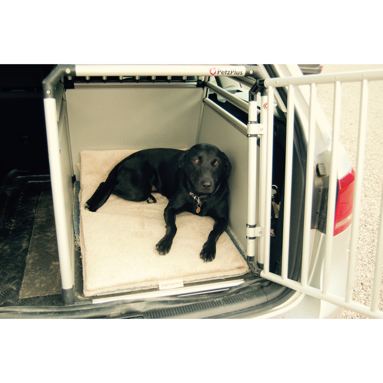SICCARO Hundematte FlexDogMat Bild 14