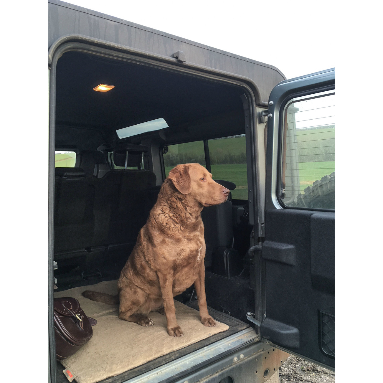 SICCARO Hundematte FlexDogMat Bild 17