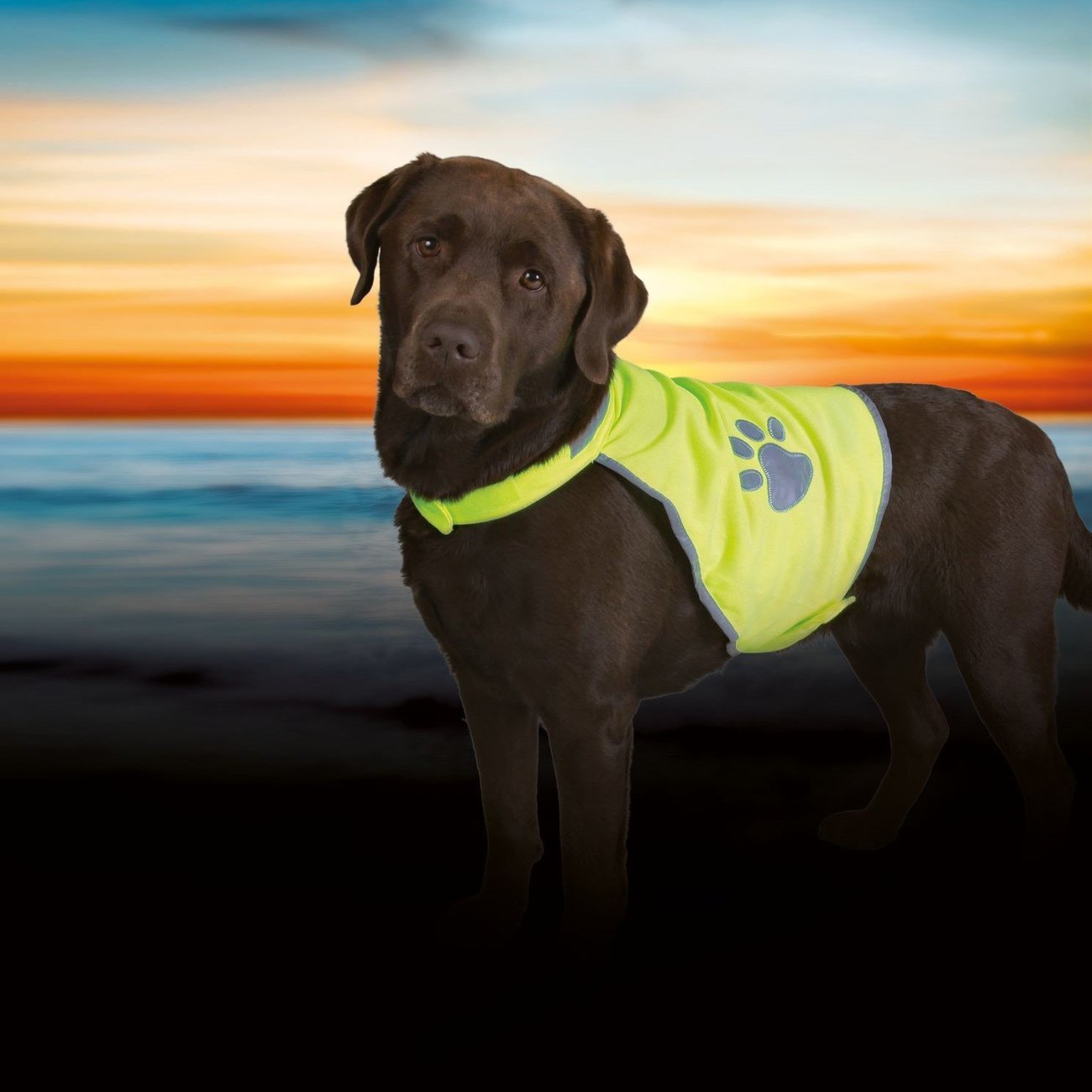 Sicherheitsweste für Hunde Bild 2