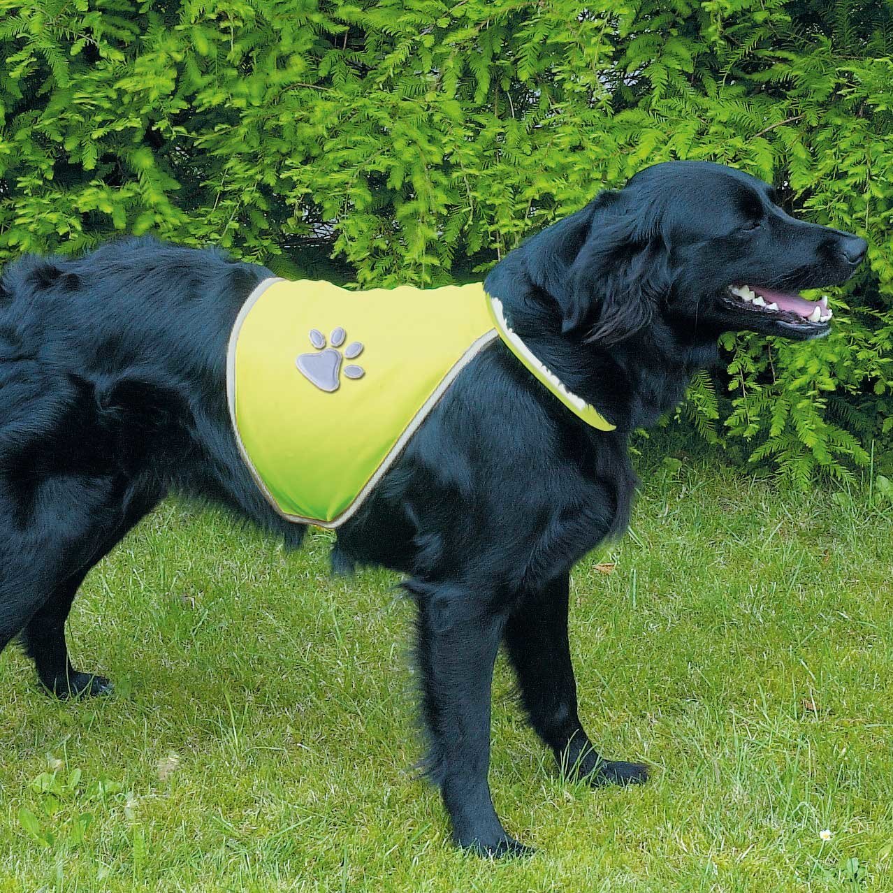 Sicherheitsweste für Hunde Bild 3