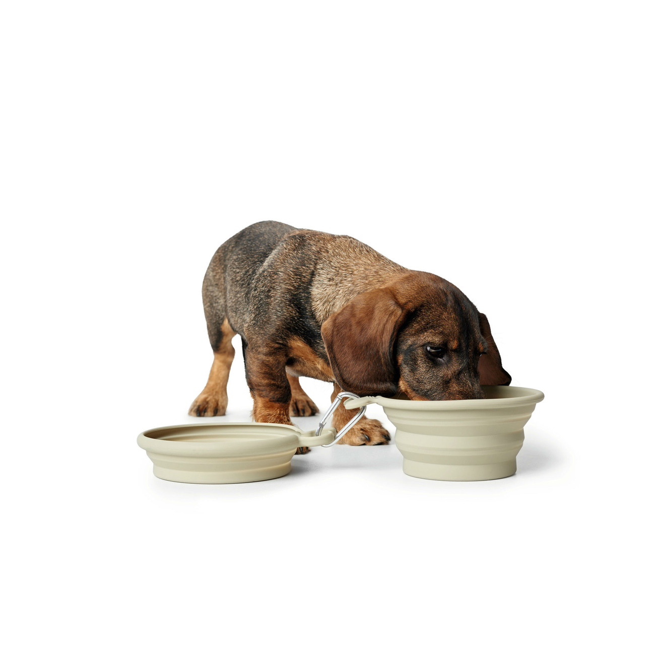 Silikon Reisenapf List für Hunde Bild 7