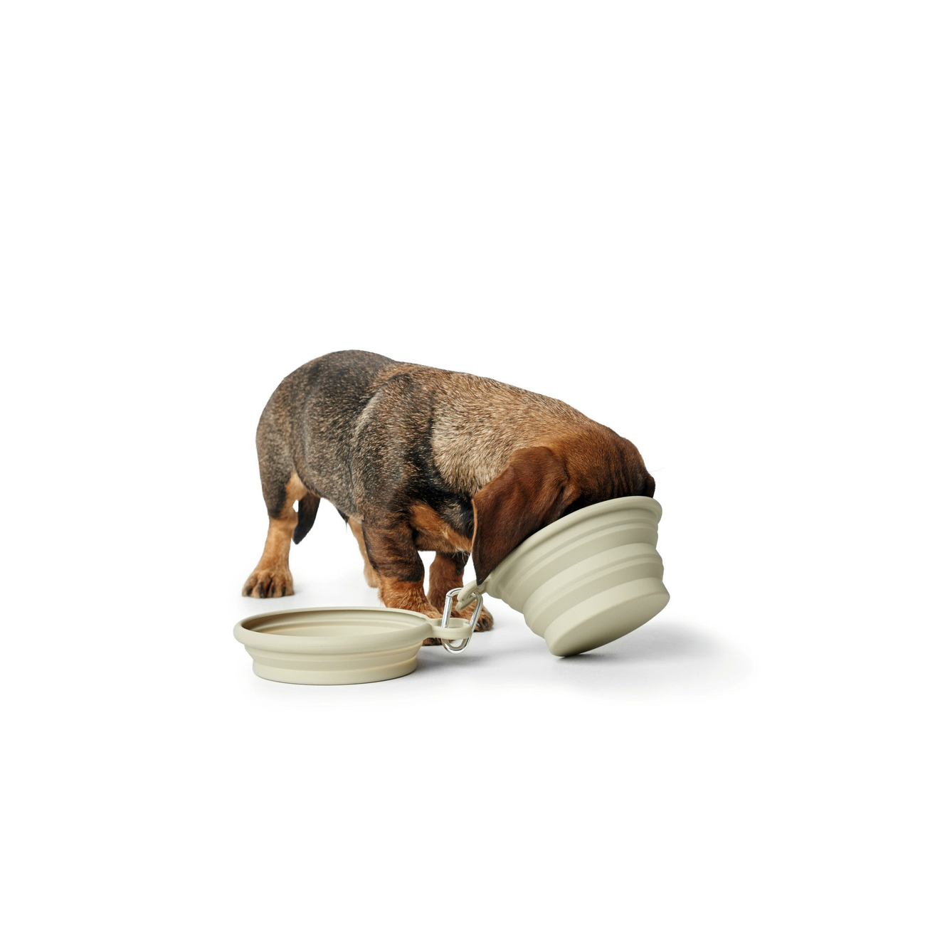 Silikon Reisenapf List für Hunde Bild 8