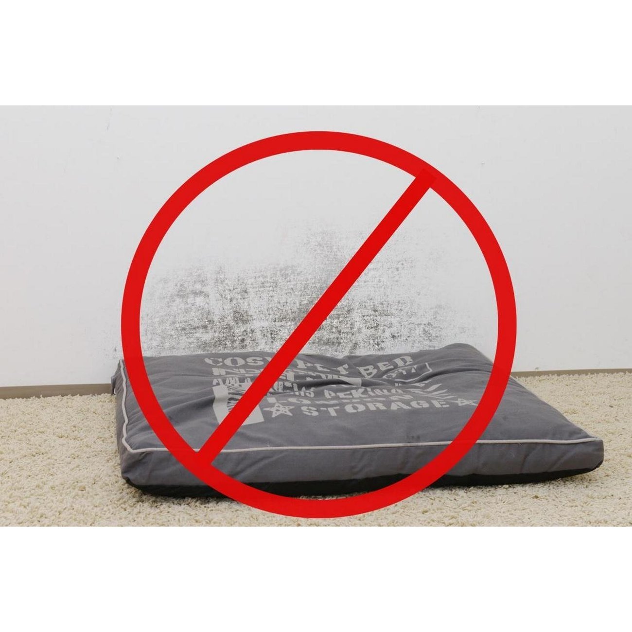 Wandschutz für Liege- und Futterplätze Bild 3