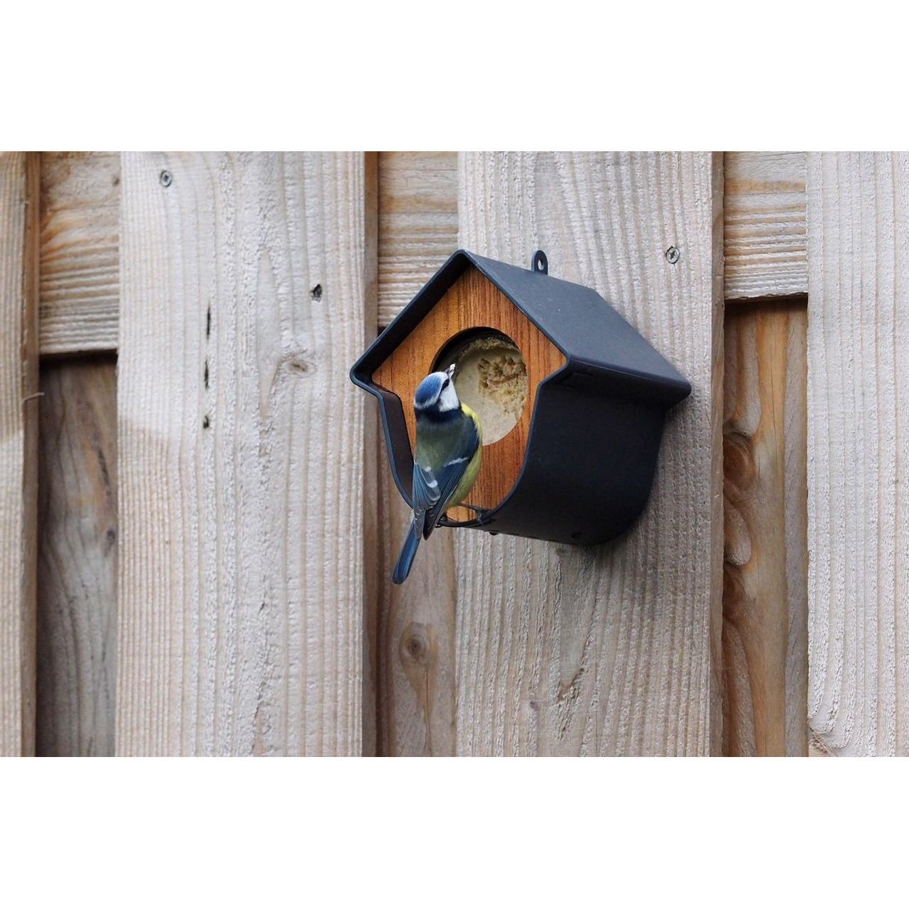 Vogelfutterhalter Evie Bild 2