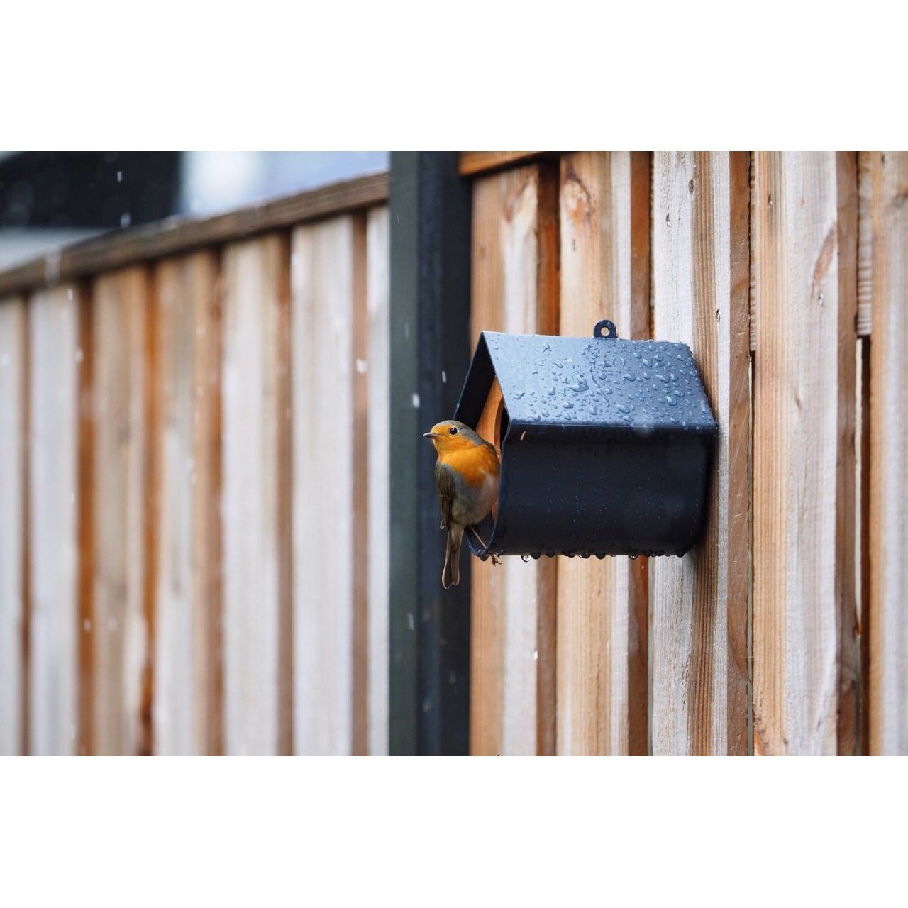 Vogelfutterhalter Evie Bild 7