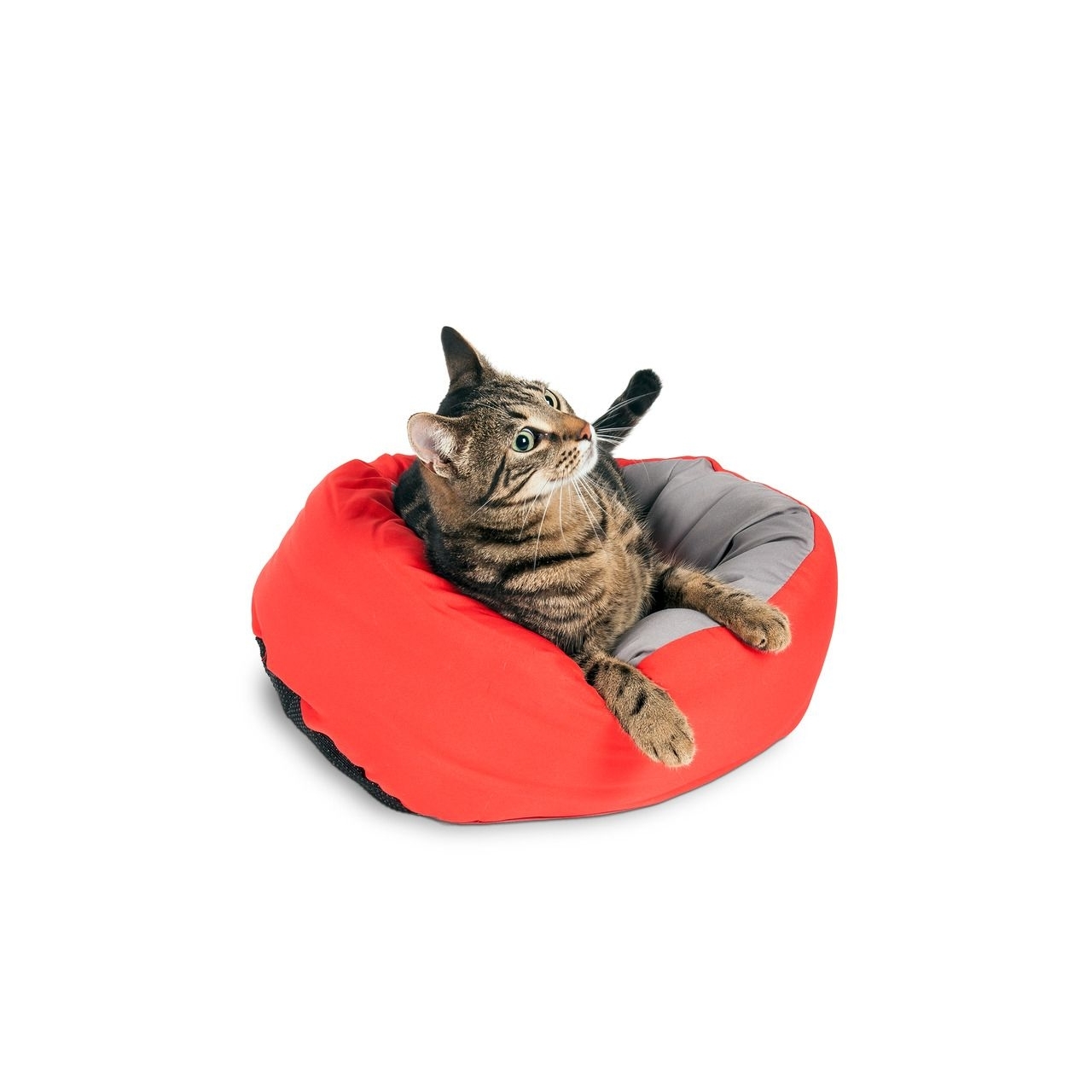 Simon's Cat Katzenbett Bild 2