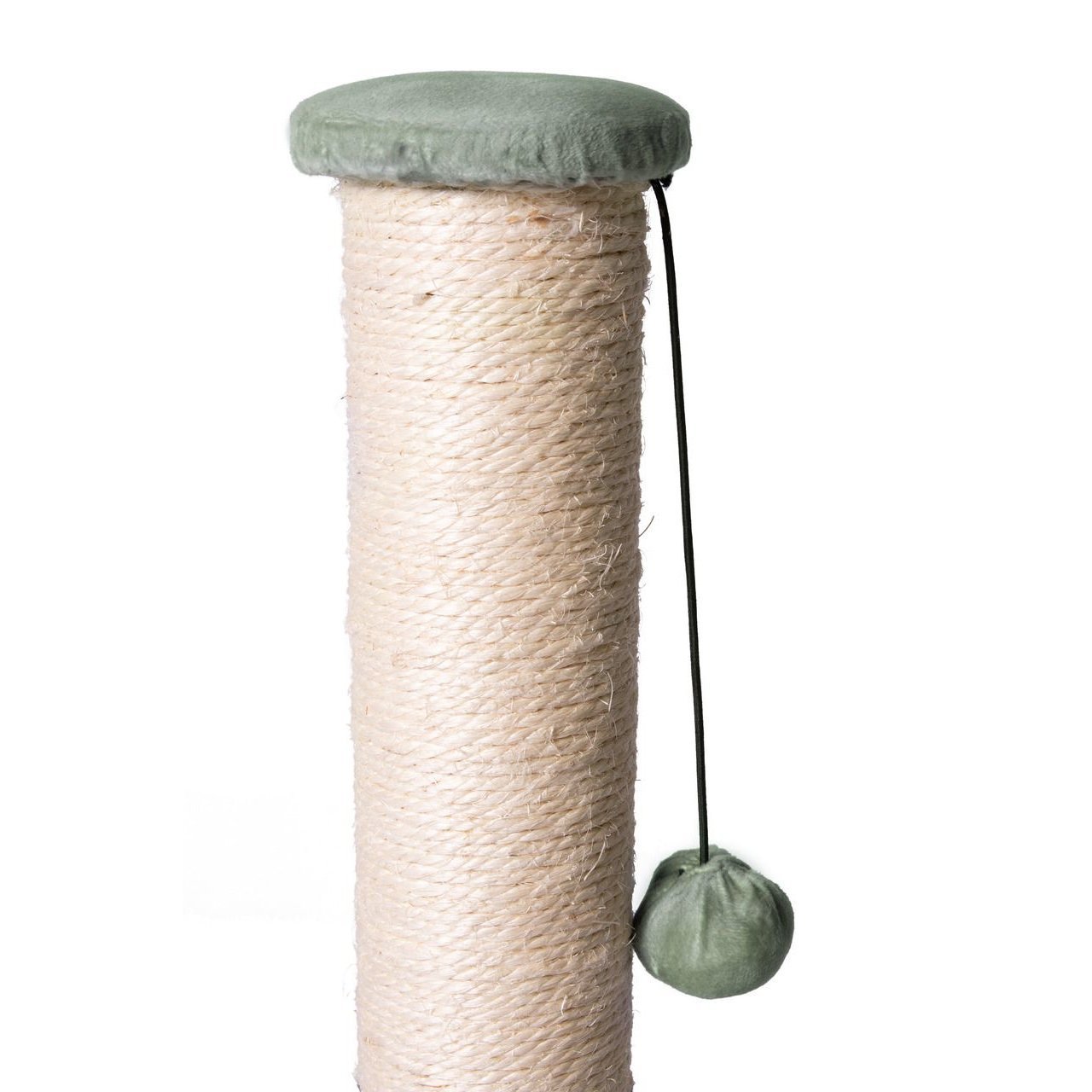 Simons Cat Kratzpfosten Bild 3