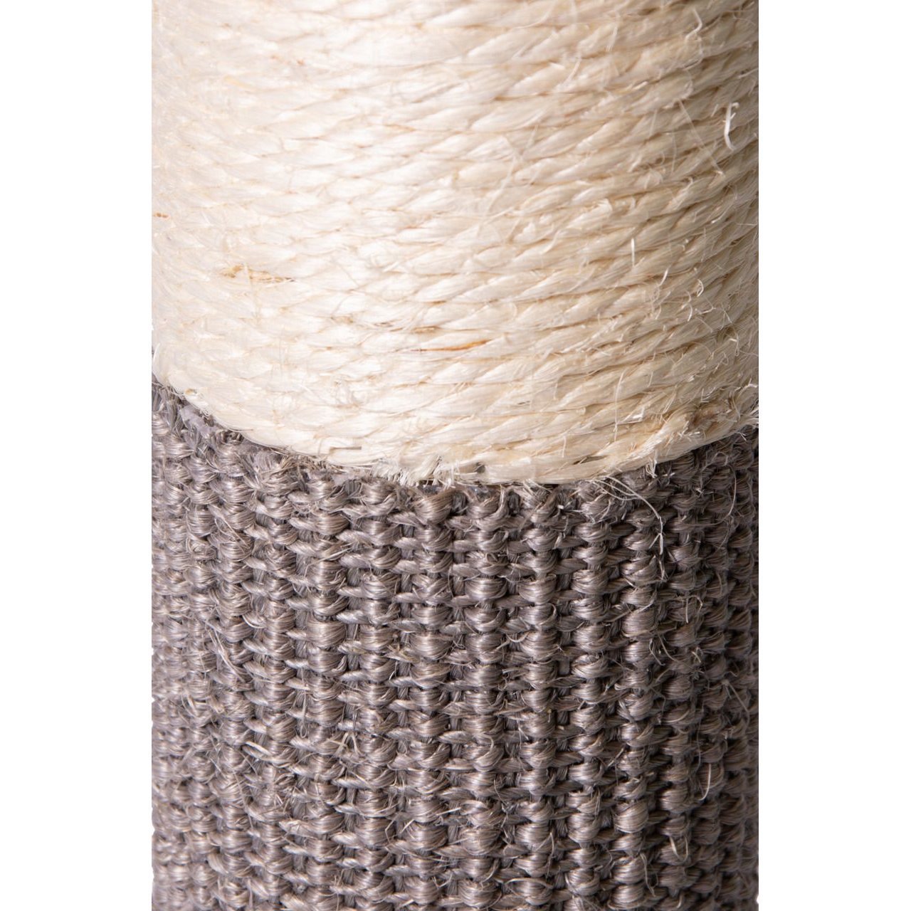 Simons Cat Kratzpfosten Bild 2