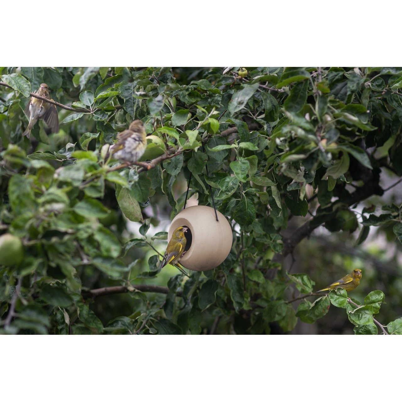 Vogelfutterhalter Lisa Bild 2