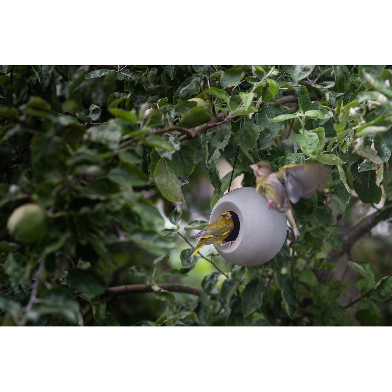 Vogelfutterhalter Lisa Bild 5