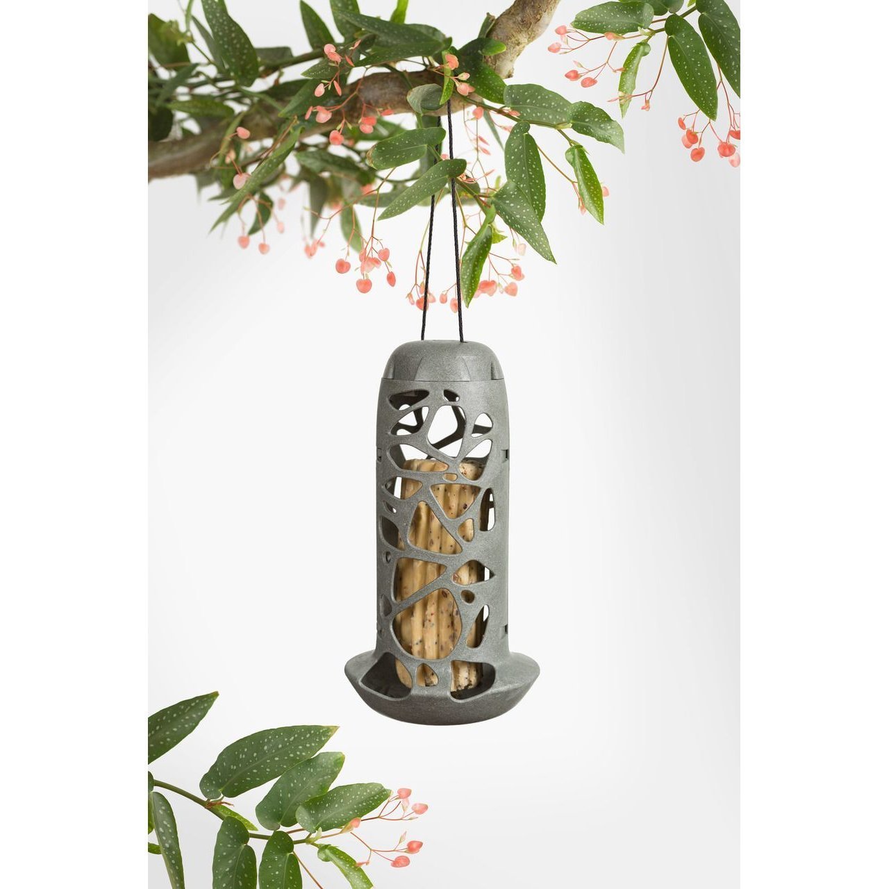 Vogelfutterhalter Tara Bild 2