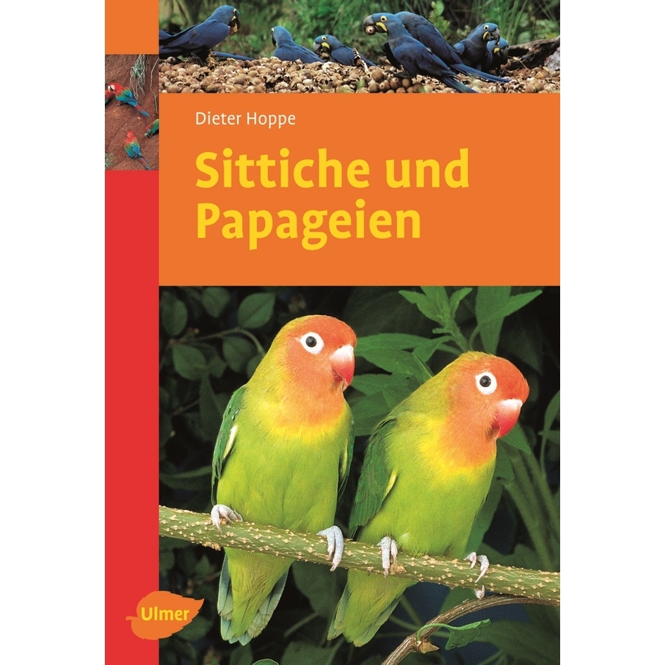 Sittiche und Papageien Bild 1